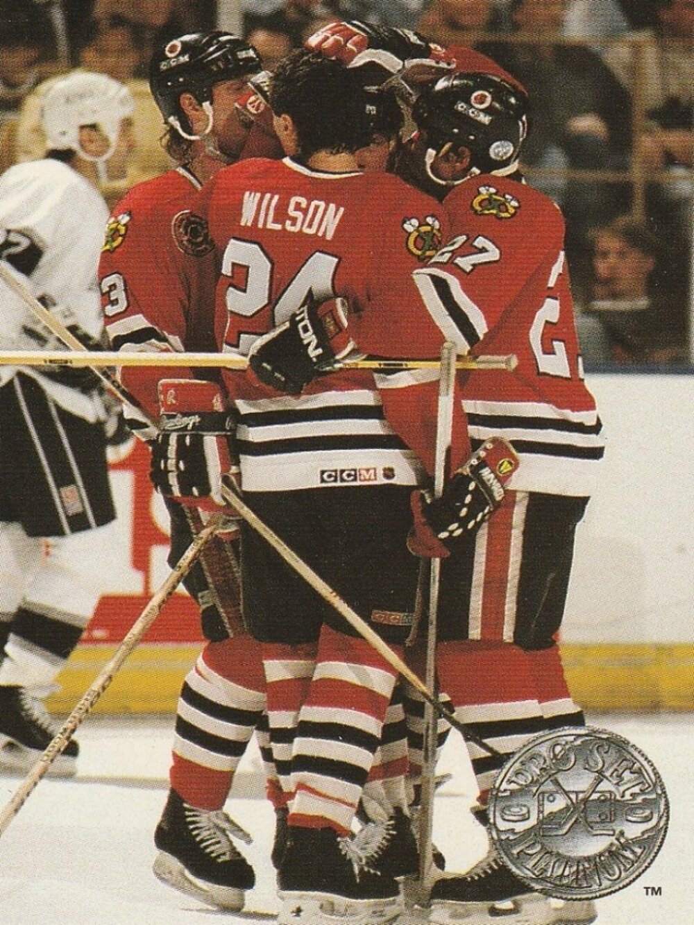 Chicago Blackhawks Norris Division Champions